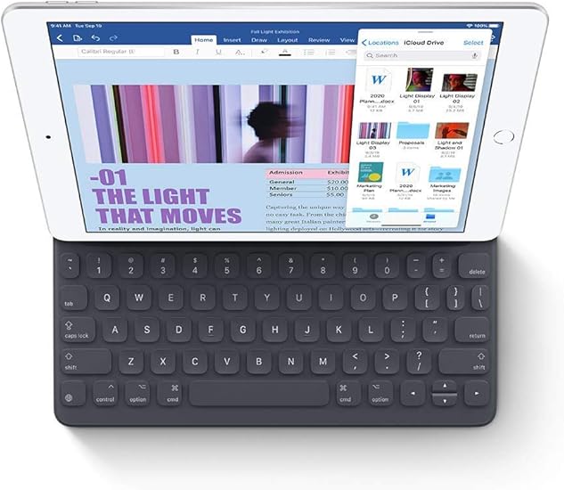 2019 Apple iPad (10.2-Inch, Wi-Fi, 32GB) - Space Gray (7th generation)