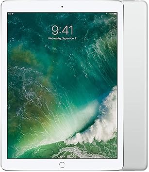 Apple iPad Pro Tablet(256GB, LTE, 9.7")