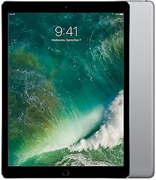 Apple iPad Pro Tablet(256GB, LTE, 9.7")