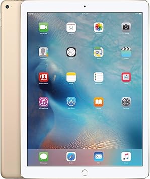 Apple iPad Pro Tablet(256GB, LTE, 9.7")