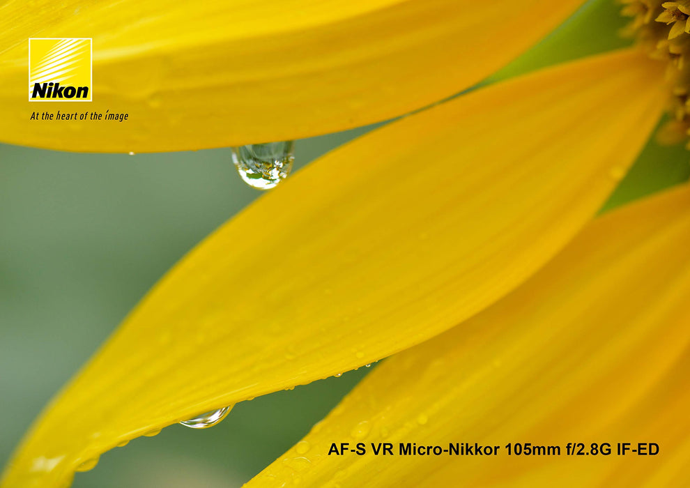 Nikon AF-S VR Micro-NIKKOR 105mm f/2.8G IF-ED Lens | Macro Lens with Vibration Reduction, 1:1 Magnification, Silent Wave Motor, Nano Crystal Coat, for Nikon DSLR Cameras